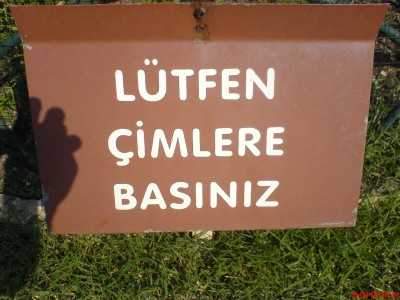 Istanbul Un Vahasi Nezahat Gokyigit Botanik Bahcesi Seyyahiz Biz